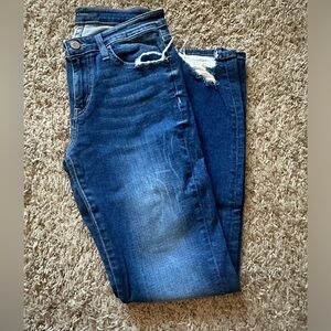 Flying Monkey Skinny